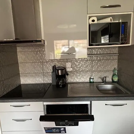 Apartment Au Pied Des Pistes Avec Terrasse, Parking Et Animaux Acceptes! - Fr-1-692-102